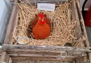 Helytörténeti Gyűjtemény Hajdúdorog