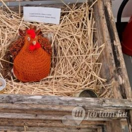 Helytörténeti Gyűjtemény Hajdúdorog - Egyéb