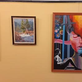 Helytörténeti Múzeum, Csenger - Egyéb