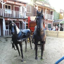 Henryx Western City Császár - Egyéb