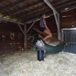 Henryx Western City Császár - Egyéb