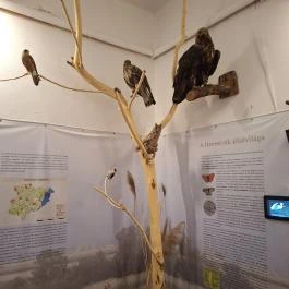 Hevesi Múzeumi Kiállítóhely, Heves - Egyéb