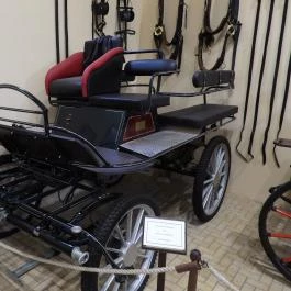 Hintómúzeum Keszthely - Egyéb