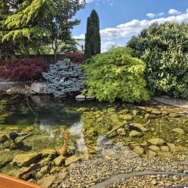 Hisztéria Cukrászda, Tápiószecső - Külső kép