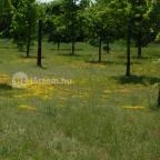 Komáromi erődrendszer - Monostori Erőd Komárom - 