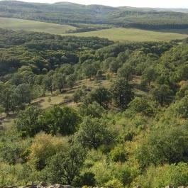 Hollókői Vár, Hollókő - 