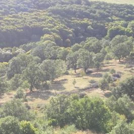 Hollókői Vár, Hollókő - 