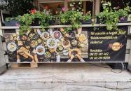 Homály Grill & Bar Bicske