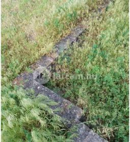 Homokmégy, Sármégy árpádkori temploma