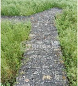 Homokmégy, Sármégy árpádkori temploma