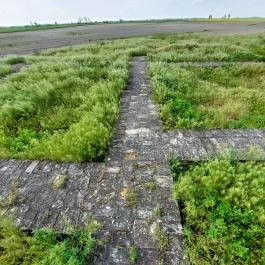 Homokmégy, Sármégy árpádkori temploma Homokmégy - Egyéb