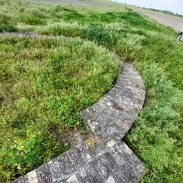 Homokmégy, Sármégy árpádkori temploma Homokmégy - Egyéb