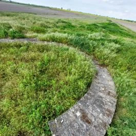 Homokmégy, Sármégy árpádkori temploma Homokmégy - Egyéb