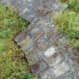 Homokmégy, Sármégy árpádkori temploma Homokmégy - Egyéb