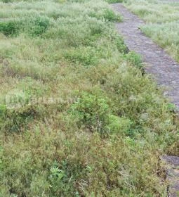 Homokmégy, Sármégy árpádkori temploma