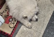 Hópihe Cookies & More Budapest