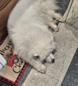 Hópihe Cookies & More