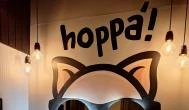Hoppá Bistro Budapest - Mosdó