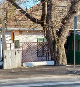 Horgony Bár & Pizzéria