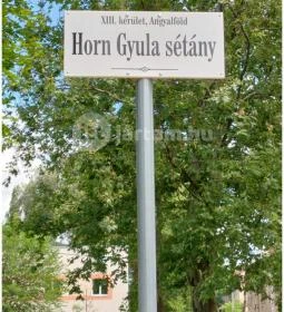 Horn Gyula szobra