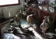 Hortobágyi Madárpark Hortobágy