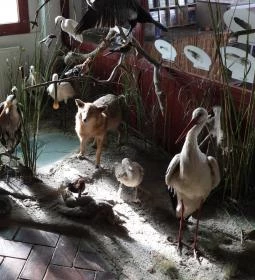 Hortobágyi Madárpark