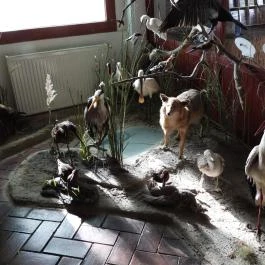 Hortobágyi Madárpark, Hortobágy - Egyéb