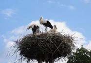 Hortobágyi Madárpark Hortobágy