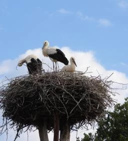 Hortobágyi Madárpark