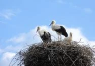 Hortobágyi Madárpark Hortobágy