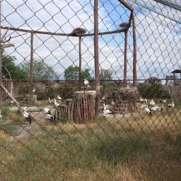 Hortobágyi Madárpark, Hortobágy - Egyéb