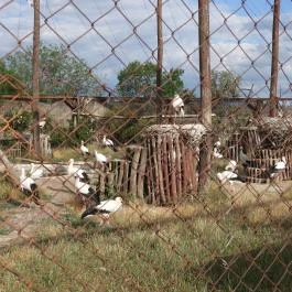 Hortobágyi Madárpark, Hortobágy - Egyéb