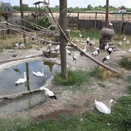 Hortobágyi Madárpark, Hortobágy - Egyéb