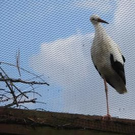Hortobágyi Madárpark, Hortobágy - Egyéb