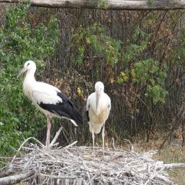 Hortobágyi Madárpark, Hortobágy - Egyéb