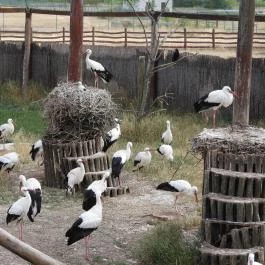 Hortobágyi Madárpark, Hortobágy - Egyéb