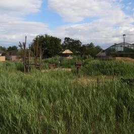 Hortobágyi Madárpark, Hortobágy - Egyéb