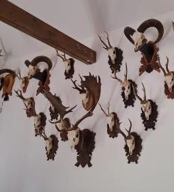 Hórvölgyi Remete Étterem