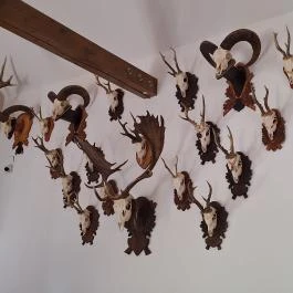 Hórvölgyi Remete Étterem, Cserépfalu - Egyéb