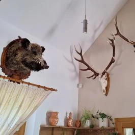 Hórvölgyi Remete Étterem, Cserépfalu - Egyéb