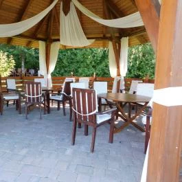 Hotel Kardosfa Zselickisfalud - Medence/kert