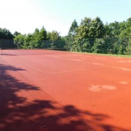 Hotel Kardosfa Zselickisfalud - Szórakozás/Sport