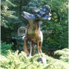 Hotel Kardosfa Zselickisfalud - Egyéb