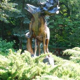 Hotel Kardosfa Zselickisfalud - Egyéb