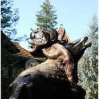 Hotel Kardosfa Zselickisfalud - Egyéb