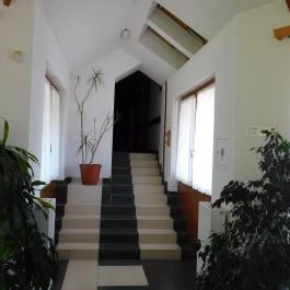 Hotel Kardosfa Zselickisfalud - Belső