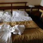 Hotel Kardosfa Zselickisfalud - Szobák