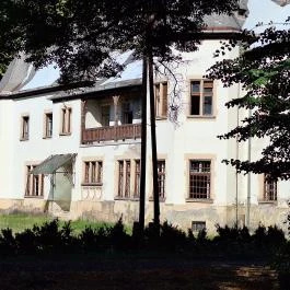 Hoyos-Miksa kastély Lad - Külső kép