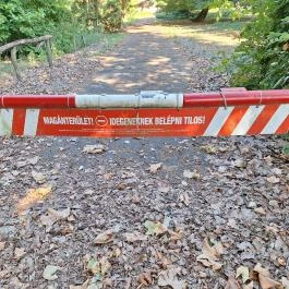 Hoyos-Miksa kastély, Lad - Egyéb