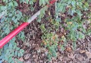 Hoyos-Miksa kastély Lad